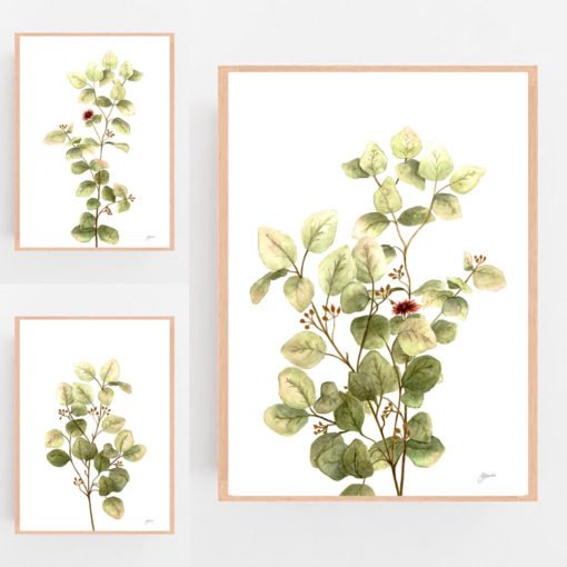 Eucalyptus-Native-Living-2-in-White-Fine-Art-Print-Natural-LifeStyle