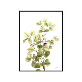 Eucalyptus-Native-Living-3-in-White-Fine-Art-Print-Black