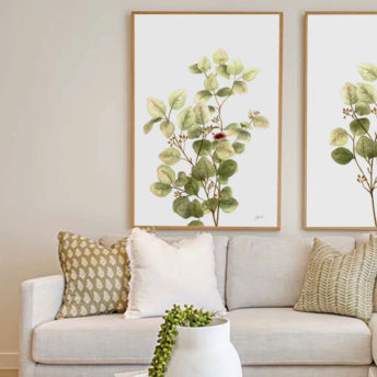 Eucalyptus-Native-Living-3-in-White-Fine-Art-Print-LifeStyle1