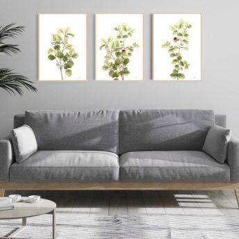 Eucalyptus-Native-Living-3-in-White-Fine-Art-Print-LifeStyle2