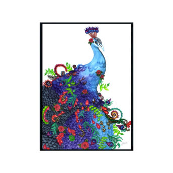 Jazzy-the-Colourful-Peacock-Fine-Art-Print-Black