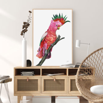 Mardi-the-Colourful-Cockatoo-Fine-Art-Print-LifeStyle1