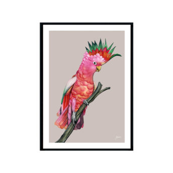 Mardi-the-Colourful-Cockatoo-in-Pale-Slate-Fine-Art-Print-Black