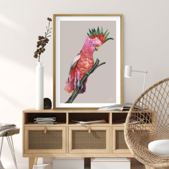 Mardi-the-Colourful-Cockatoo-in-Pale-Slate-Fine-Art-Print-LifeStyle