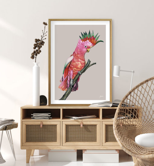 Mardi-the-Colourful-Cockatoo-in-Pale-Slate-Fine-Art-Print-LifeStyle