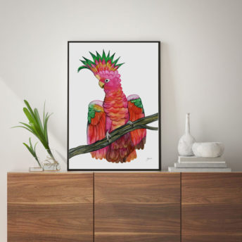 Miranda-the-Colourful-Cockatoo-Fine-Art-Print-LifeStyle1
