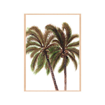 Palm-Breeze-in-White-Fine-Art-Print-Natural