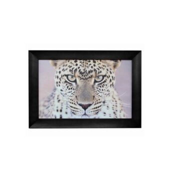 Leopard Black Painted Framed Wall Art