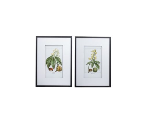 Set of 2 Fruit and Flower Leaves Wall Art