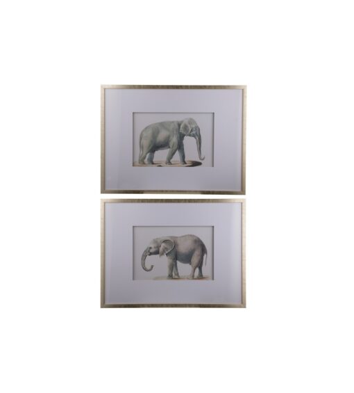 Elephant Framed Prints Wall Art Set of 2
