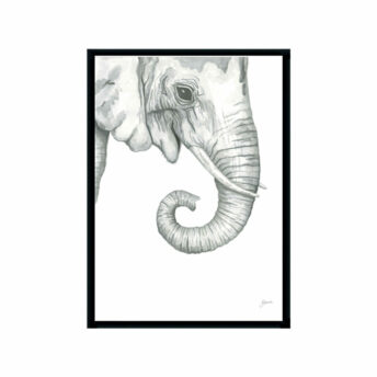 Eva-the-Elephant-Fine-Art-Print-Black