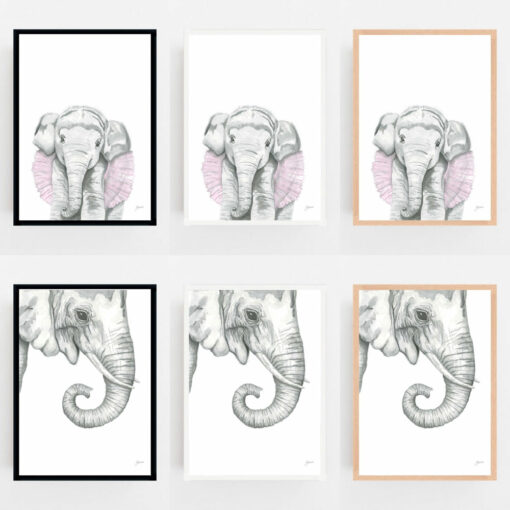 Eva-the-Elephant-Fine-Art-Print-LifeStyle3