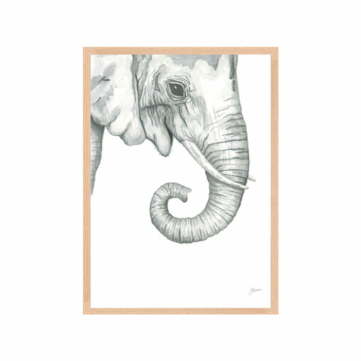 Eva-the-Elephant-Fine-Art-Print-Tas