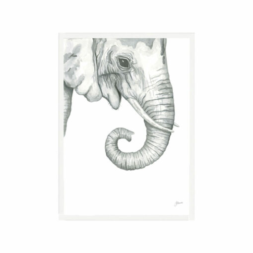 Eva-the-Elephant-Fine-Art-Print-White