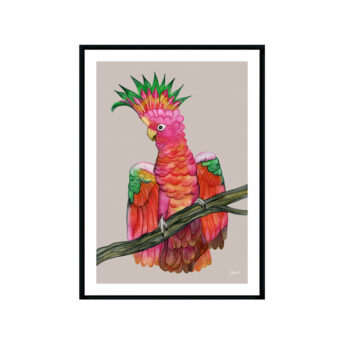 Miranda-the-Colourful-Cockatoo-in-Pale-Slate-Fine-Art-Print-Black