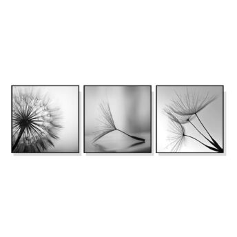 Set of 3 Black and White Dandelions Wall Art Canvas