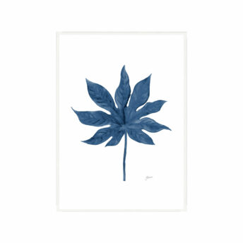 Aralia-Living-Leaf-in-Navy-Blue-Fine-Art-Print-White