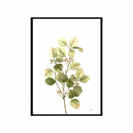 Eucalyptus-Native-Living-1-in-White-Fine-Art-Print-Black