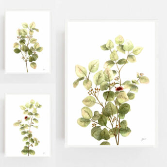 Eucalyptus-Native-Living-1-in-White-Fine-Art-Print-White-LifeStyle