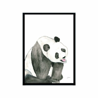 Layla-the-Baby-Panda-Bear-Fine-Art-Print-Black