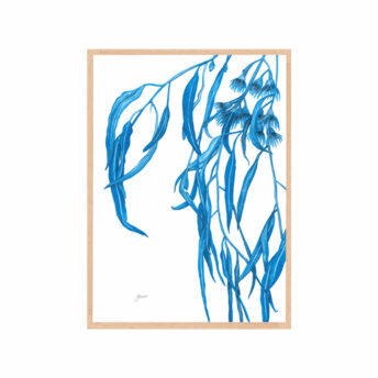 Navy-Gum-Leaf-Flora-1-Fine-Art-Print-Tas