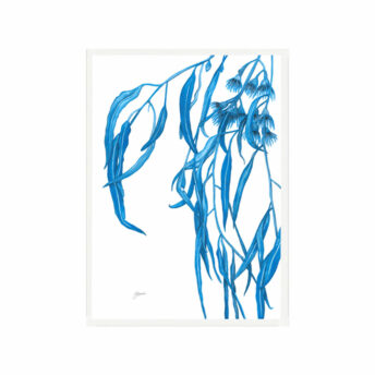 Navy-Gum-Leaf-Flora-1-Fine-Art-Print-White