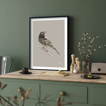 Regent-Honeyeater-Australian-Bird-in--Pine-Cone-Fine-Art-Print-LifeStyle