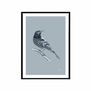 Regent-Honeyeater-Australian-Bird-in-Wedgewood-Blue-Fine-Art-Print-Black