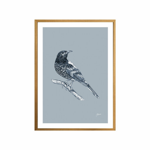 Regent-Honeyeater-Australian-Bird-in-Wedgewood-Blue-Fine-Art-Print-Tas