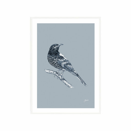Regent-Honeyeater-Australian-Bird-in-Wedgewood-Blue-Fine-Art-Print-White
