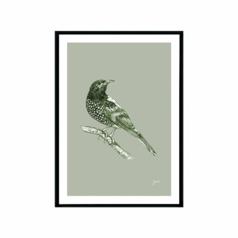 Regent-Honeyeater-Australian-Bird-in-Willow-Green-Fine-Art-Print-Black