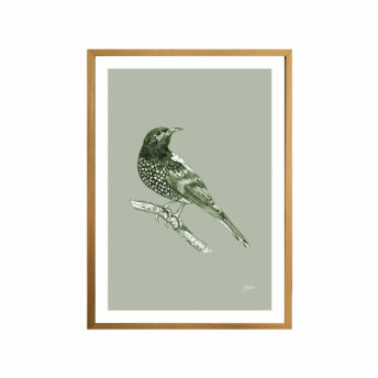 Regent-Honeyeater-Australian-Bird-in-Willow-Green-Fine-Art-Print-Tas