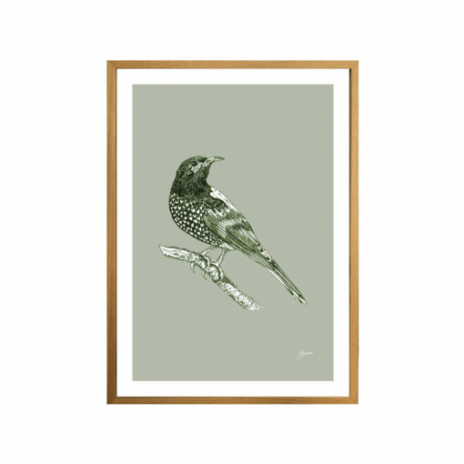 Regent-Honeyeater-Australian-Bird-in-Willow-Green-Fine-Art-Print-Tas