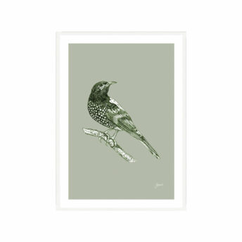 Regent-Honeyeater-Australian-Bird-in-Willow-Green-Fine-Art-Print-White