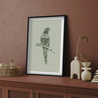 Rosella-Australian-Bird-in-Willow-Green-Fine-Art-Print-LifeStyle1