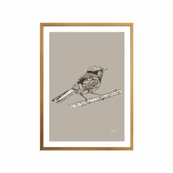 Splendid-Fairy-Wren-Australian-Bird-in-Pine-Cone-Fine-Art-Print-Tas