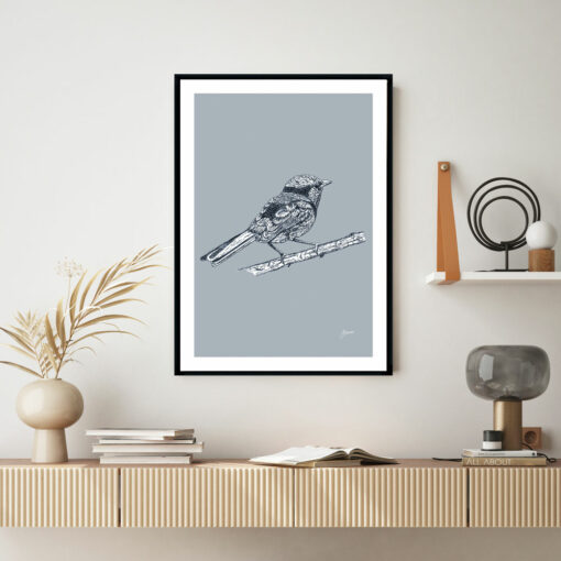 Splendid-Fairy-Wren-Australian-Bird-in-Wedgewood-Blue-Fine-Art-Print-LifeStyle1