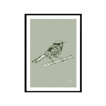 Splendid-Fairy-Wren-Australian-Bird-in-Willow-Green-Fine-Art-Print-Black
