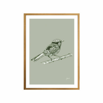 Splendid-Fairy-Wren-Australian-Bird-in-Willow-Green-Fine-Art-Print-Tas
