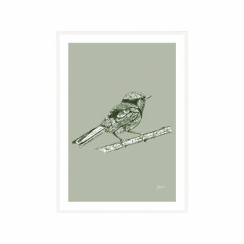 Splendid-Fairy-Wren-Australian-Bird-in-Willow-Green-Fine-Art-Print-White