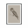 Tawny-Frogmouth-Australian-Bird-in-Pine-Cone-Fine-Art-Print-Black