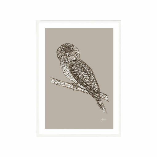 Tawny-Frogmouth-Australian-Bird-in-Pine-Cone-Fine-Art-Print-White