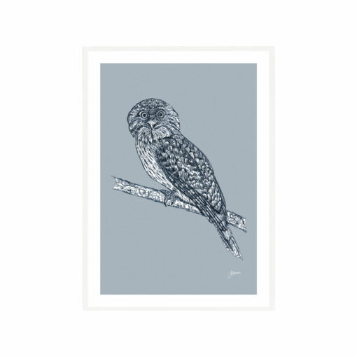 Tawny-Frogmouth-Australian-Bird-in-Wedgewood-Blue-Fine-Art-Print-White