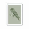 Tawny-Frogmouth-Australian-Bird-in-Willow-Green-Fine-Art-Print-Black