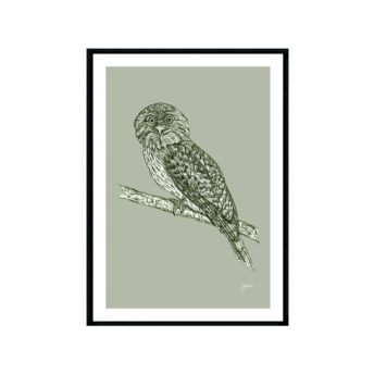 Tawny-Frogmouth-Australian-Bird-in-Willow-Green-Fine-Art-Print-Black