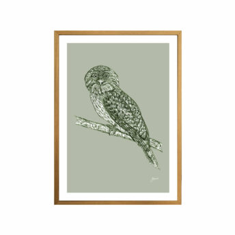 Tawny-Frogmouth-Australian-Bird-in-Willow-Green-Fine-Art-Print-Tas