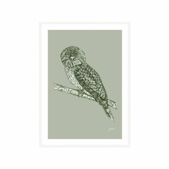 Tawny-Frogmouth-Australian-Bird-in-Willow-Green-Fine-Art-Print-White