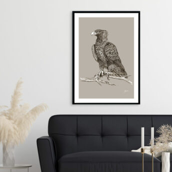 Wedgetail-Eagle-Australian-Bird-in-Pine-Cone-Fine-Art-Print-LifeStyle1