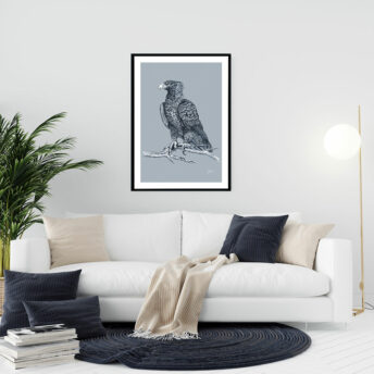 Wedgetail-Eagle-Australian-Bird-in-Wedgewood-Blue-Fine-Art-Print-LifeStyle1