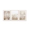 Set of 3 Dried Flowers Wall Art Canvas